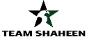 Shaheen MMA logo